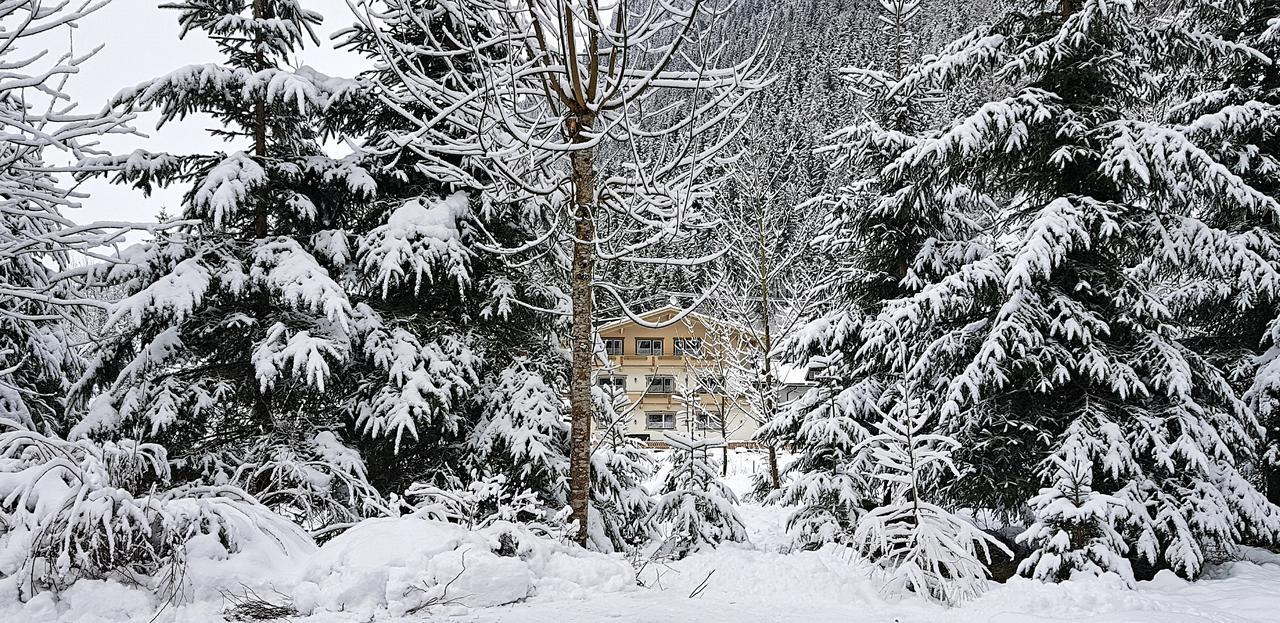 Chalet Amadeus Mayrhofen Zillertal Tirol Exterior photo