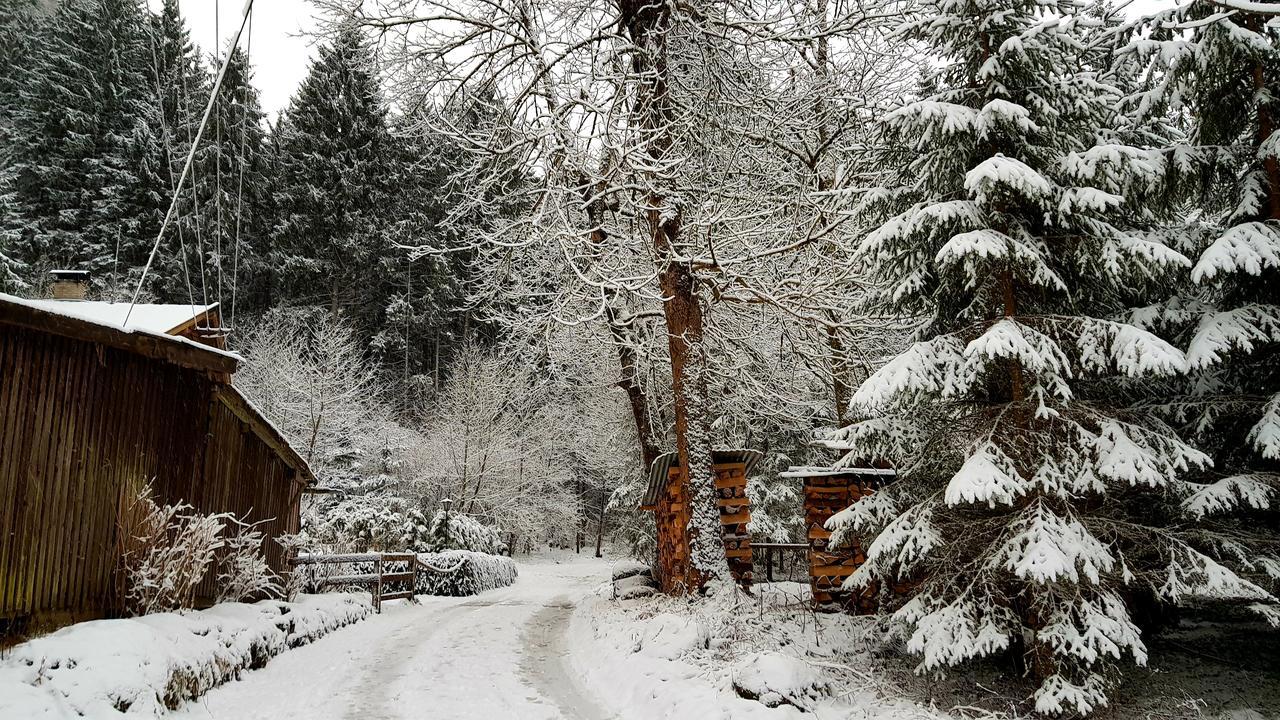 Chalet Amadeus Mayrhofen Zillertal Tirol Exterior photo